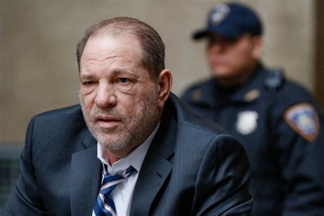 harvey weinstein trial update